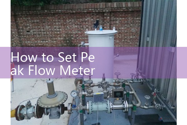 How to Set Peak Flow Meter: Setting Up Mechanical Limit Markers Before Respiratory Tests