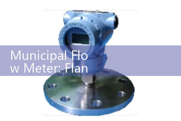 Municipal Flow Meter: Flanged Wastewater and Drinking Main Senses