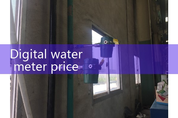 digital water meter price
