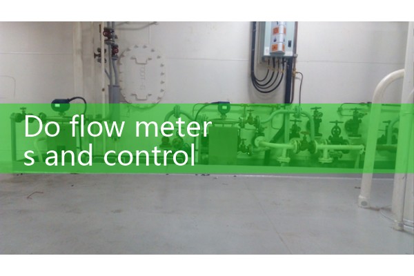 Vortex flowmeter, right