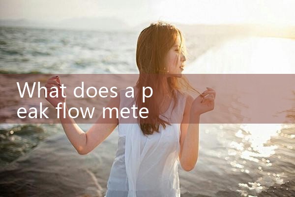 what does a peak flow meter measure|coriolis mass flow meter