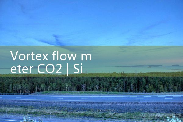 vortex flow meter CO2|coriolis mass flow meter