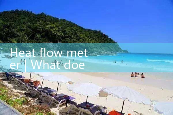 heat flow meter|coriolis mass flow meter