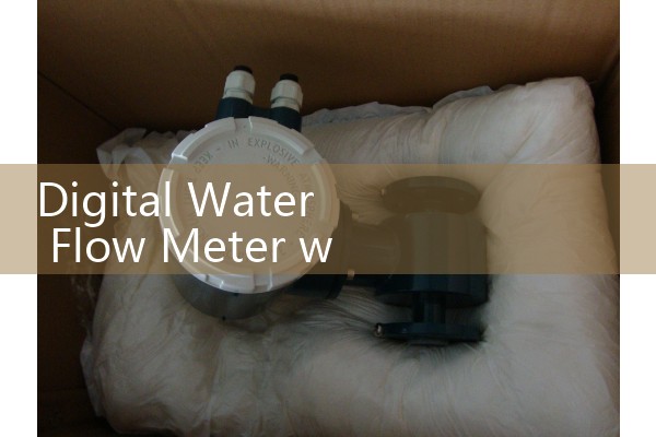 Fuel flow meter