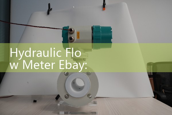 Hydraulic Flow Meter Ebay: Sourcing Used Surplus Fluid Power Instrumentation Parts with Technical Safety