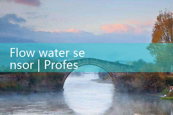 flow water sensor|mass flowmeter