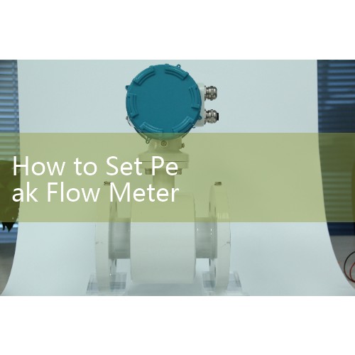 How to Set Peak Flow Meter: Setting Up Mechanical Limit Markers Before Respiratory Tests