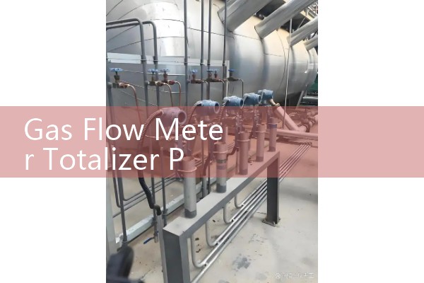 Gas Flow Meter Totalizer Programming: Converting Continuous Mass Frequencies into Accumulated Standard Volumes