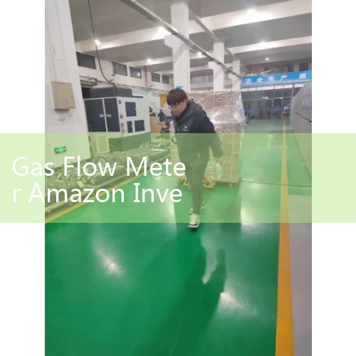 Gas Flow Meter Amazon Inventory: Evaluating Consumer-Grade Regulators vs Professional Industrial Sensors