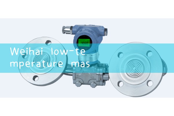 Weihai Low Temperature Mass Flow Meter Manufacturer